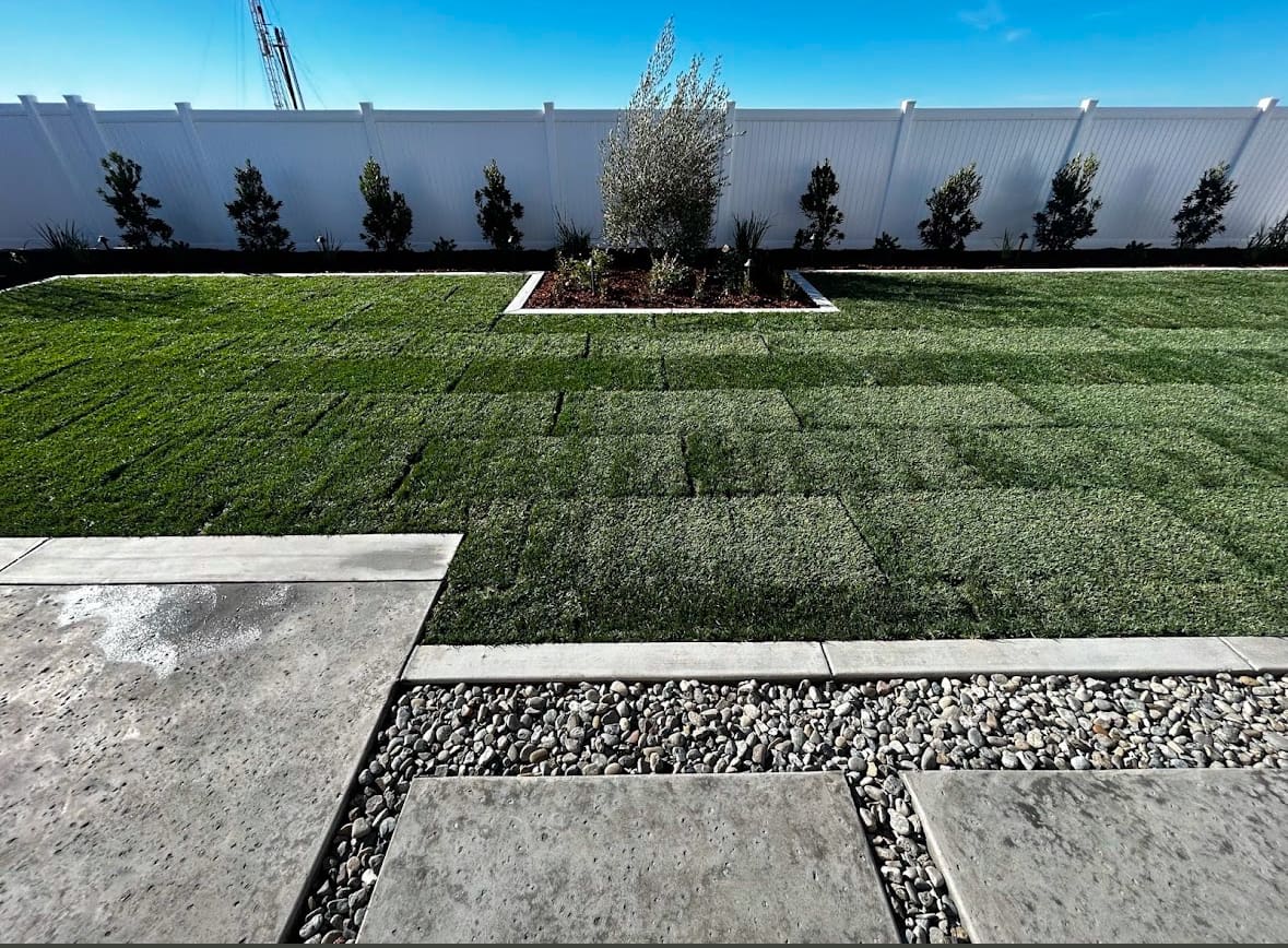 338DBADF-1C31-4BF0-A98B-DD5EC6AD388E (1)